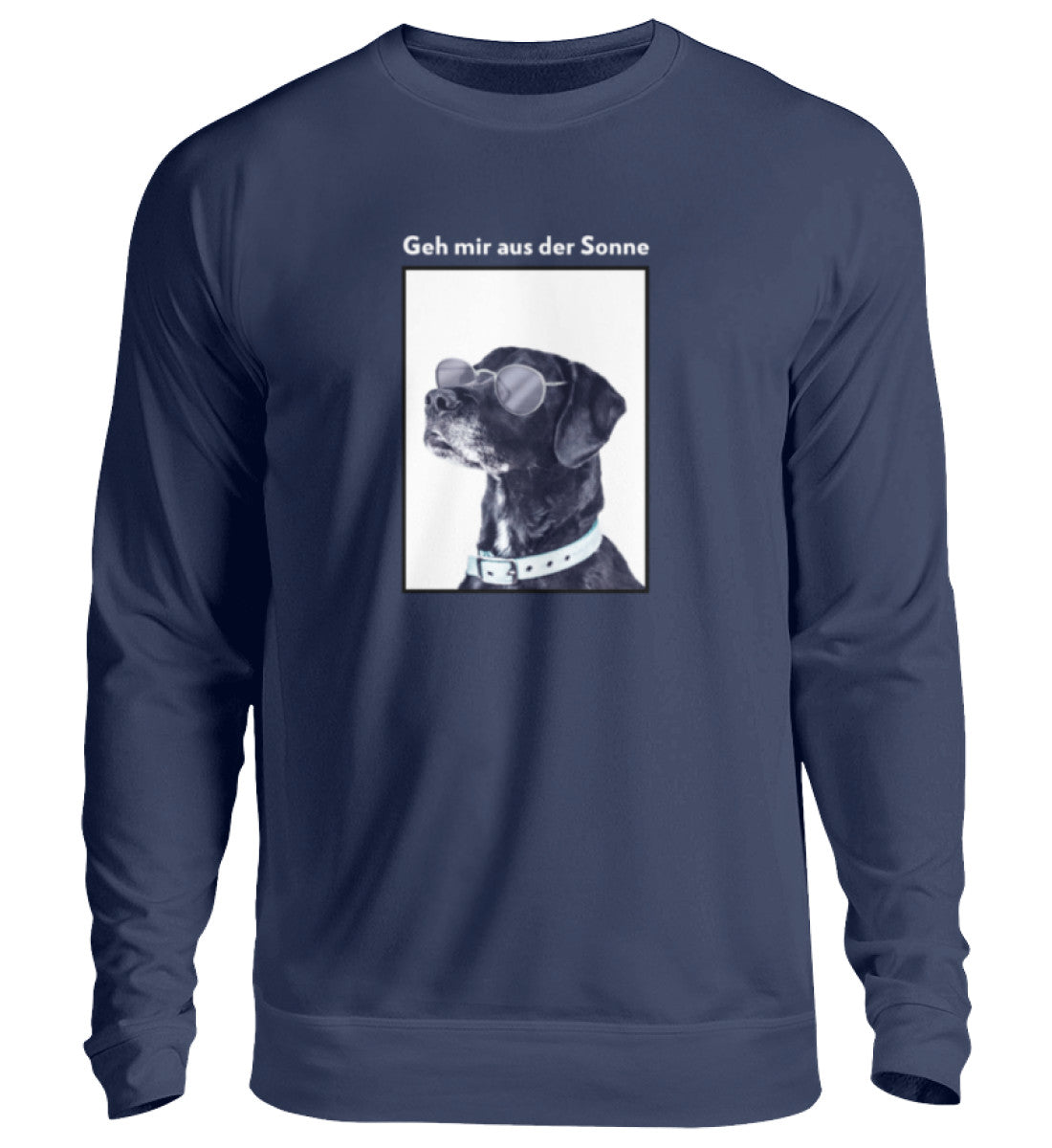 New French Navy-1676