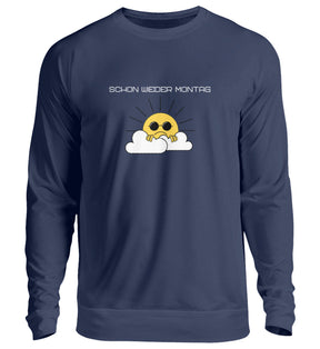 New French Navy-1676